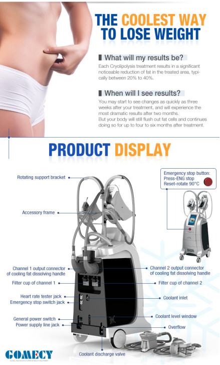 4 Handles Lipo Laser Cryolipolysis Slimming Machine