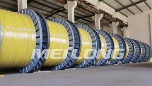 China UNS S32750 Encapsulated Control Line Super Duplex 2507 Rilsan Nylon wholesale