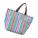 Insulated Picnic Cooler Bags Polyester Lunch Bags For Frozen Food