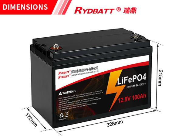 Quality 12V 100Ah LiFePO4 Lithium Battery Rechargeable 2000cycles Built In BMS for sale