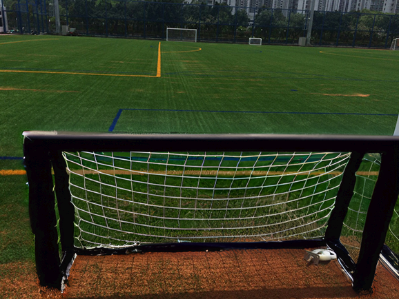 Elite Soccer Goal Heavy Duty Construction Foldable Football Nets For Home Club Drills
