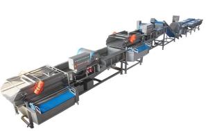China Luxury Vortex Vegetable Washing Machine Swirl / Bubble Vegetable Cleaning Line wholesale