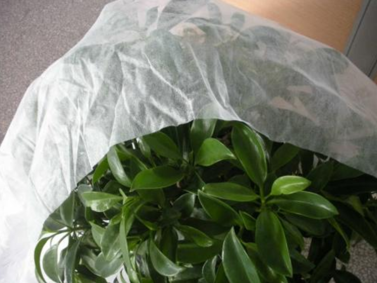 Handbag Technology Spunbond Non Woven Fabric Perfect for Agricultural Packaging Bags