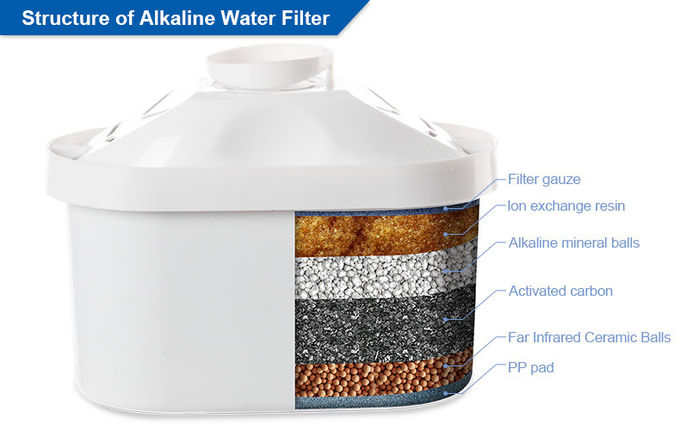 Food Grade Maxtra Replacement Filter Cartridge 3 Pack With PP Housing