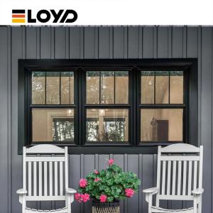 China Custom Double Single Hung Window with Low-E Glass wholesale
