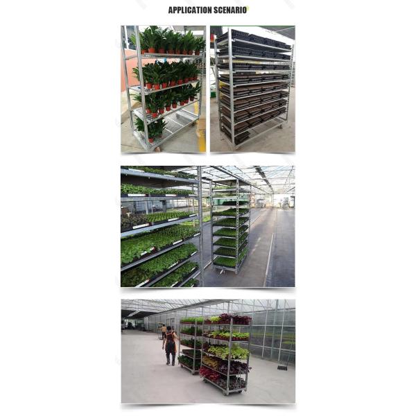 Nylon Wheel Plywood Dutch Flower Trolley Easy To Install