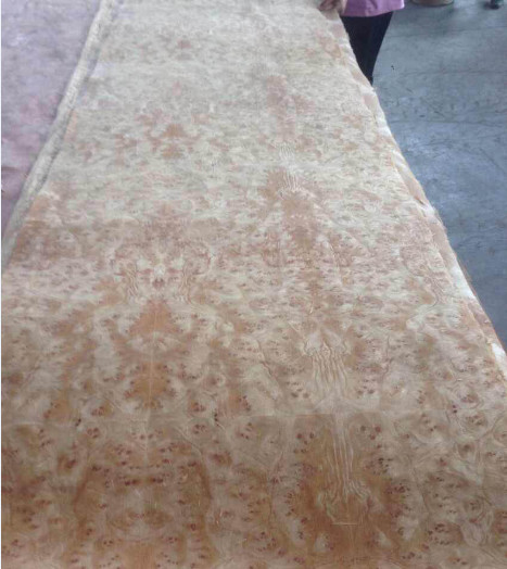 Golden Camphor Burl Paper Backed Veneer, Paper Backed Burl Veneer