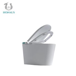 China Modern Europe Smart Intelligent Toilet Instant Heat 680*420*500mm wholesale