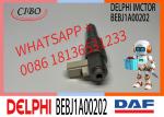 Fuel Injector Assembly BEBJ1A05002 BEBJ1A00202 BEBJ1A05001 1905001 1846419