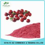 100% Natural Fruit Cranberry Juice Powder