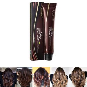 China Fashion Brown Chocolate Chestnut Balayage Hair Dye for Salon Hair Color by OEM ODM wholesale