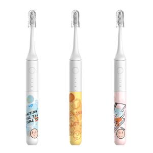 China Adult Waterproof Electric Toothbrush IPX7 Ultrasonic Rechargeable Toothbrush wholesale