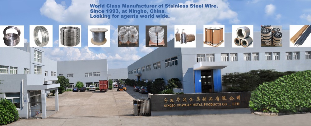 TOPONE Stainless Steel Straight Wire 302 0.25mmx30mm