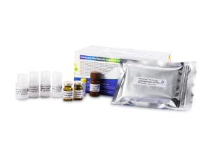 China Kit For Determination Seminal Plasma PMN Elastase Level wholesale