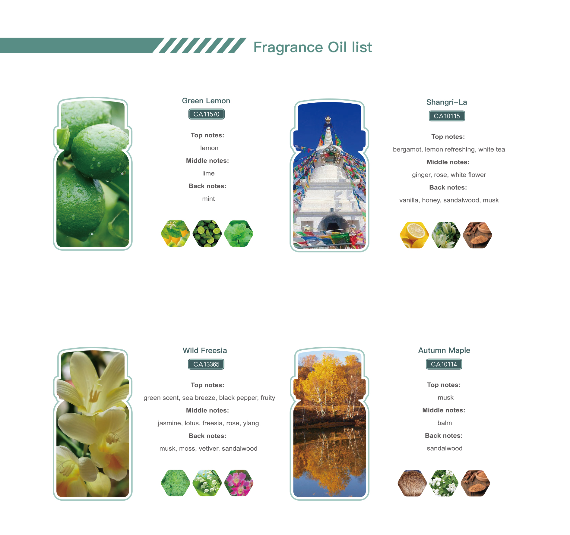 500ml Luxury Hotel Fragrance White Tea Ritz Carlton Park Hyatt Healton Venice Shangri-La Essential Oil for Scent Diffuser