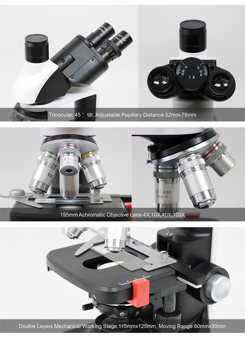 OPTO-EDU A11.3620 Trinocular Biological Microscope