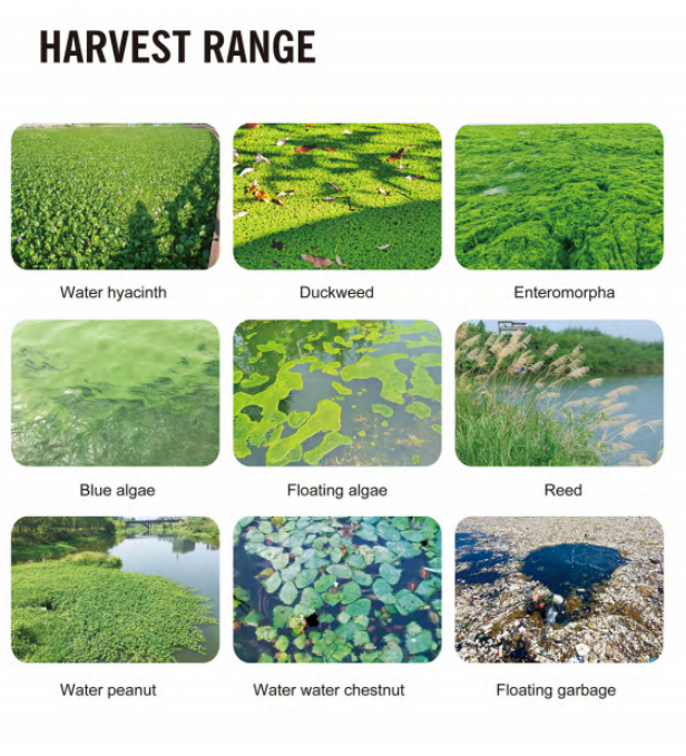 Water Hyacinth Harvester Vessel with 24 Cubic Meters/Hour Diesel Drive Gearbox 1