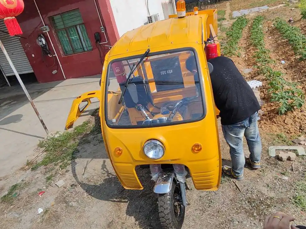 151 200cc Displacement 3 Wheel Gasoline Engine Motorized Petrol Cargo Tricycles for Adults