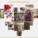 100W Food Vacuum Sealer Packaging Machine , Household Vacuum Packer AC110V
