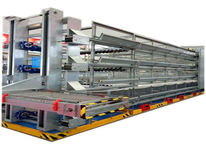 Several Tiers Poultry Farm Feeding System High Elasticity Reduce Deformation