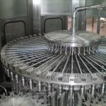 4000BPH Automatic Bottle Ginger Ale Carbonated Drink Filling Machine Stainless