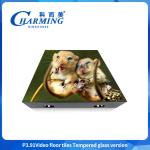 Video Light Dance Floor P3.91 Portable Dance Floor Wedding Removable Dance Floor