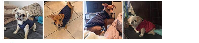 2 Layers Fleece Lined Warm Dog Jacket for Puppy Winter Cold Weather Dog Coat