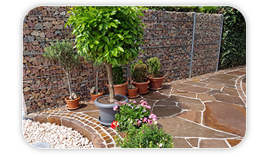 Professional Factory Directly Supply Galvanized Gabion Box Hexagonal Gabion Iron Wire Mesh Woven Gabion Net