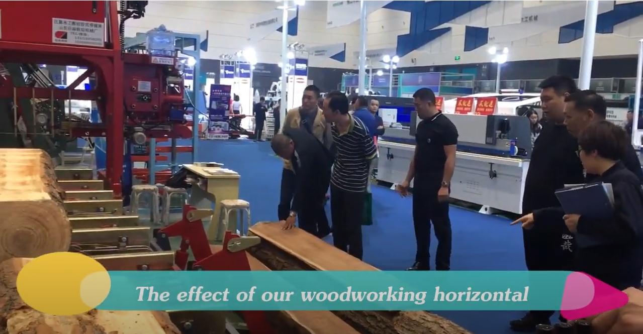 50 KG Gasoline Hydraulic Horizontal Wood Splitter Log Splitter Fire Wood Process