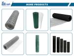 Manufacturers Direct Selling Galvanized Stainless Steel Rust Welded Wire Mesh