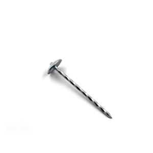 China 2'' Smooth/Screw Nails Galvanized Roofing Nails wholesale