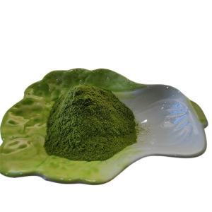 China Seaweed Polysaccharide 40% Seaweed Fertilizer Seaweed Extract Green Powder wholesale