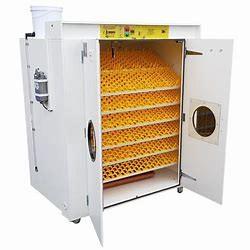 China 31824 Commercial Quail Egg Incubator Automatic Turner Heat Adjustable wholesale