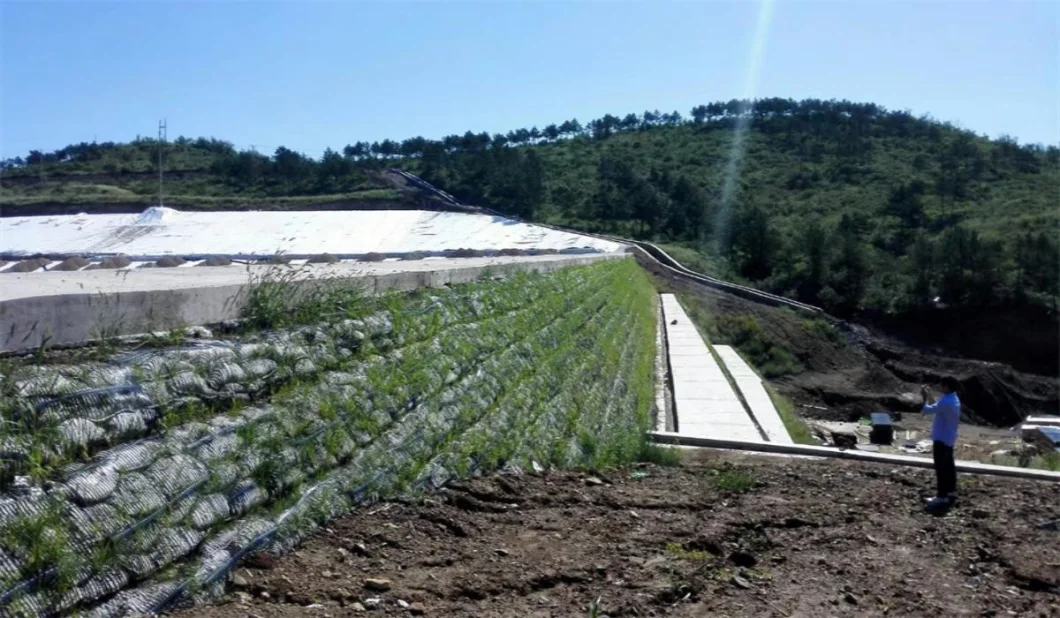Geo Grid Ground Grid Plastic Uniaxial Polyester Geogrid Price Uniaxial Gravle Grid Ground for Driveway Basement
