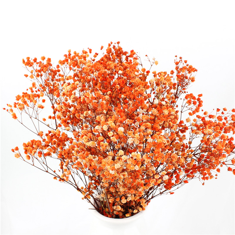 Home Decorations Everlasting Beautiful Dried Flowers Babys breath Preserved