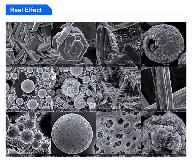 High Resolution Digital Scanning Optical Microscope Huge Sample Stage