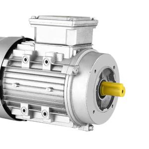 China Ac 3 Phase Induction Motor Squirrel Cage Double wholesale