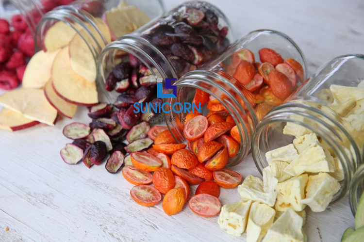 700*800*1300mm Commercial Freeze Drying Equipment Excellent Temperature Control