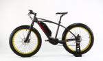 48V 10Ah Fat Tire Mountain Electric Bike 350W Electric Powered Mountain Bike