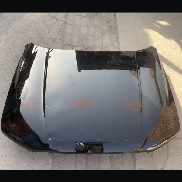 High-quality original disassembled parts for the front hood of H-a-val Dargo