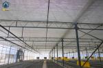 Large Agricultural Tunnel PC Greenhouse Polycarbonate Vegetable Growing