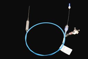 China Disposable Wire Guide Balloon Dilatation Catheter Length 1800mm Safety Dilation wholesale