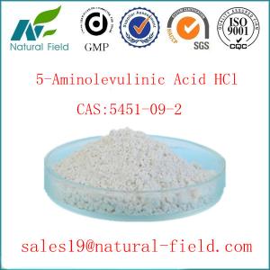 China Pharmaceutical grade 5-ALA hcl wholesale