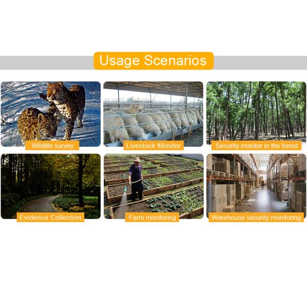 hunting camera scenes