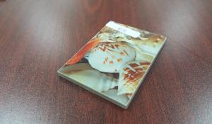 China Polyurethane Raw Materia Compressed Fibre Cement Board UV Technology Transfer wholesale