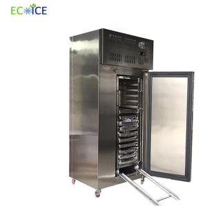 China Frozen Foods Freezer Cabinet Small Shock Quick Blast Deep Freezer Commercial wholesale