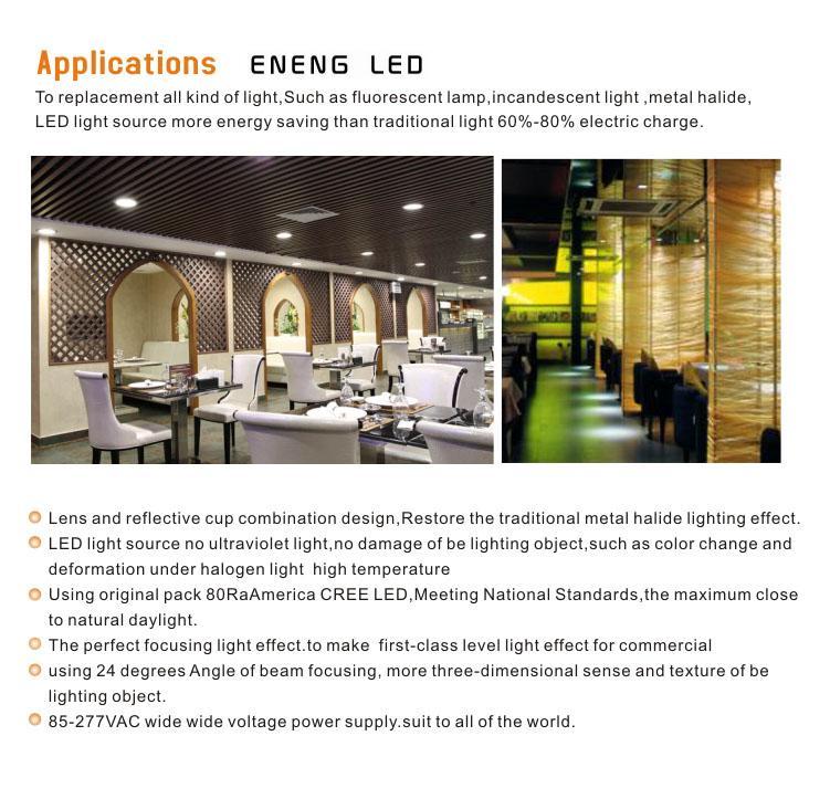 high lumens E2712W dimmable led par30 spot light with cob led led par30 light Track lamp to Replace 45W metal halide