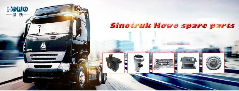 Engine Vg1500050096 for Sinotruck HOWO Truck