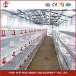 Poultry Farm Battery Baby Chick Brooder Cage For Sales Ada