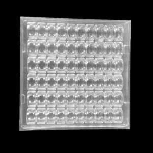 China PET 60 Cavity Macaron Boxes With Inserts, Packaging Macarons For Shipping wholesale